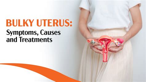 A Bulky Uterus Symptoms Causes And Treatment Options Banker Ivf