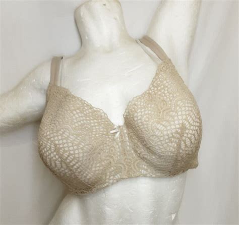 Cacique Modern Linear Lace Bal Full Coverage 44dd Gem