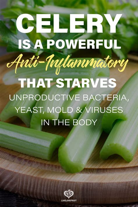 10 Impressive Health Benefits Of Celery Live Love Fruit