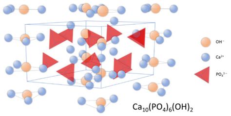 Biomedical Compositions Containing Hydroxyapatite Encyclopedia Mdpi