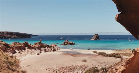 Espiritu Santo Island Private Boat Trip Sea Lions Getyourguide