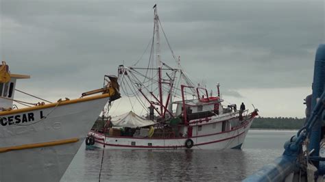 Empiezan a salir barcos camaroneros vía lastre para iniciar capturas