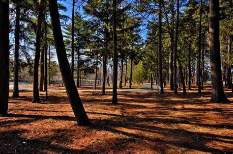 Ocean County Park HDR 9 Exposures Merged With Photomatix Flickr