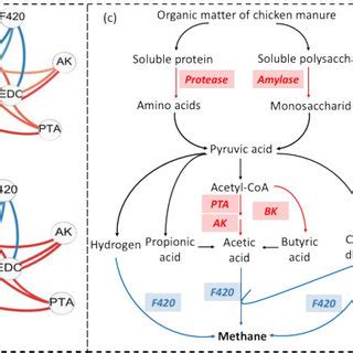 Revealing The Link Between Evolution Of Electron Transfer Capacity Of