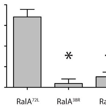 RalA Exocyst Interactions Are Required For Matrigel Invasion The