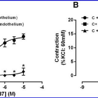 Characterization Of A23187 Mediated Contractile Responses In Thoracic