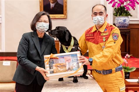 蔡英文表揚土耳其搜救隊成員 5隻搜救犬同獲獎成另類台灣之光 上報 焦點