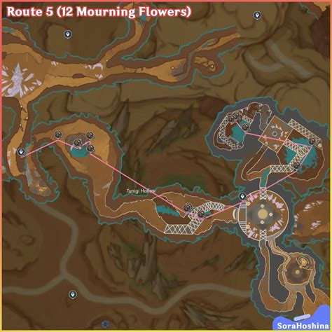 All 78 Mourning Flowers Route & Farming Guide | Genshin Impact