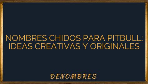 Nombres Chidos Para Pitbull Ideas Creativas Y Originales Denombres Info Hot Sex Picture