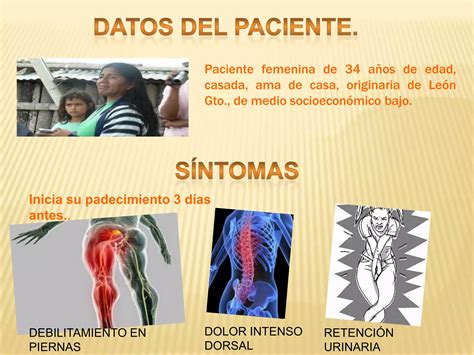 Caso Cl Nico De Cisticercosis Intramedular Ppt