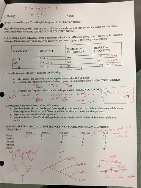 Oxidative Phosphorylation Worksheet Answers Pogil Pogil Ox Phos S Pdf