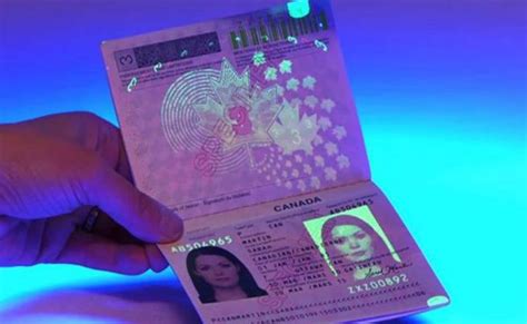 The new Mexican Electronic Passport - The Yucatan Times