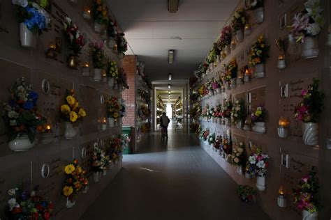 Interior of a Columbarium with Flowers · Free Stock Photo