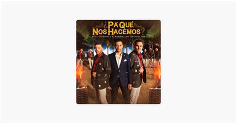 Pa Qué Nos Hacemos Single by Luis Coronel Banda Los Recoditos on