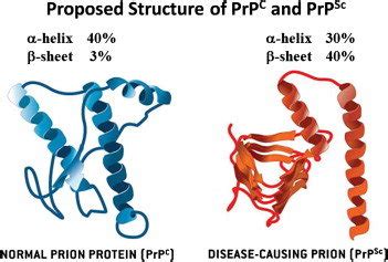 Normal and disease-causing prions structures [20]. | Download ...