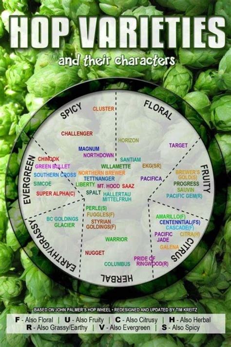 Hops Chart 2nd Edition: A Visual Reference of Charts | Chart Master