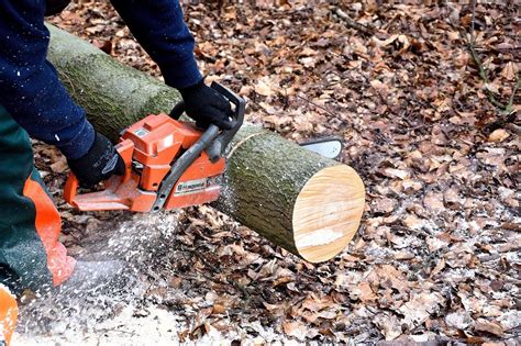 Patentino Europeo Della Motosega