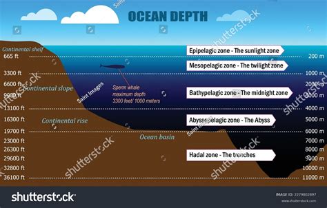 10+ Ocean Layers Diagram - ConnieTormad