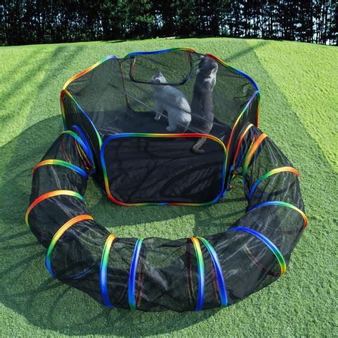 Luckitty Outdoor Rainbow Cat Enclosures Playground Outside House For Indoor Cats