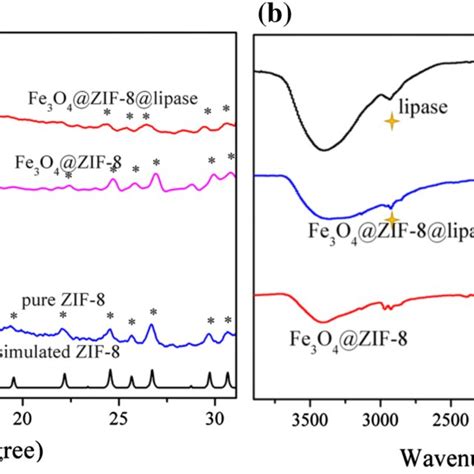 Schematic Illustration Of Fe3o4 Zif 8 Synthesized Through A Solid Phase