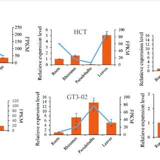 Verification Of Six Selected DEGs By QRT PCR Comparison Of RNA Seq