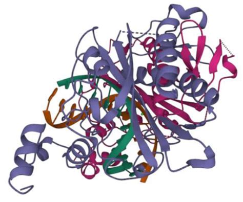 EcoRV-GATACT complexes from protein data bank, https://www. rcsb.org ...