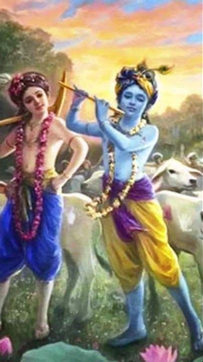 Shri Radhe Govind Krishan 🙏💖⚘️💞🌹 ️🙏 Krishna Radheradhe Vrindavan