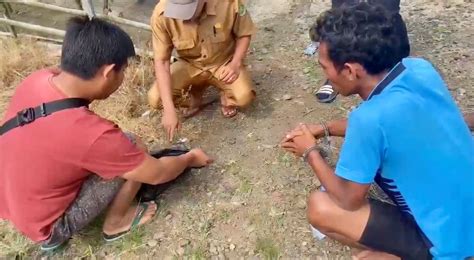 Dua Pengedar Narkoba Diringkus Di Jalan Tol Bengkulu Taba Penanjung