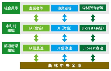 ニュースレター 特集：農林中央金庫のサステナブル経営：農林中央金庫