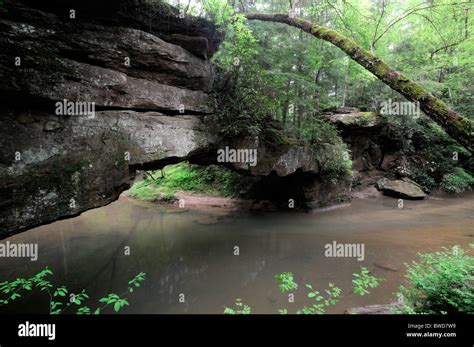 Rock Bridge Red River Gorge Geological Area Clifty Wilderness Slade