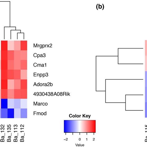 Heat Maps And Hierarchical Clustering Of Significantly Differentially