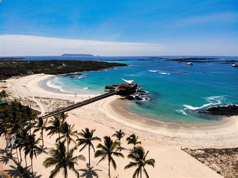 Cosa Vedere Alle Isole Galapagos Tutto Quello Che Devi Sapere