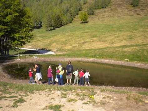 Pian Delle Betulle Lago Di Como E Valsassina