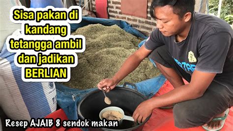 Cara Membuat Pakan Fermentasi Kering Untuk Kambing Domba Program