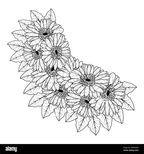 Beautiful Flowers Of Gerbera Daisy Coloring Page Drawing Detailed In