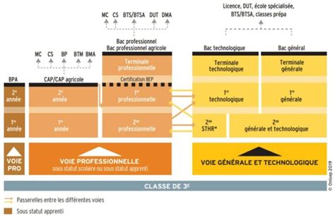 SCHÉMA DES ÉTUDES APRÈS LA 3e Collège Claude Monet Bussy Saint Georges