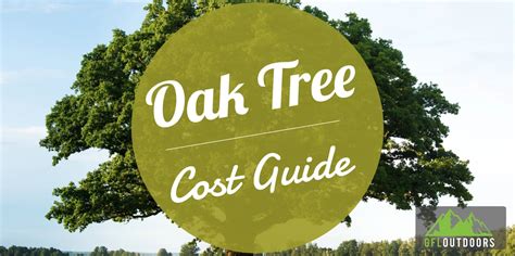 How Much Does an Oak Tree Cost? (11 of The Most Popular Types)