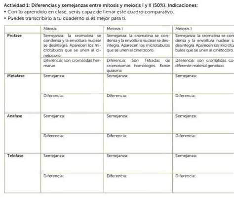 Actividad Diferencias Y Semejanzas Entre Meiosis Y Mitosis Alguien