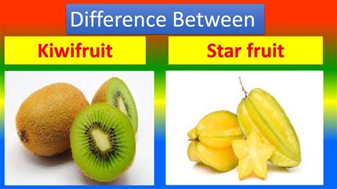 Differences Between Medical And Health Benefits Of Kiwifruit And Star