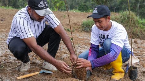 Jaga Kelestarian Lingkungan Warga Diajak Tanam Pohon Di Pangalengan