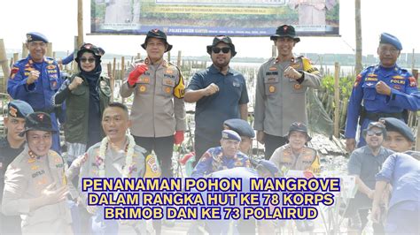 PENANAMAN POHON MANGROVE SERENTAK Dalam Rangka HUT KORPS BRIMOB Ke 78