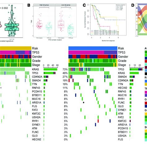 Mutational Landscape Of The Tp53 Associated Signature A