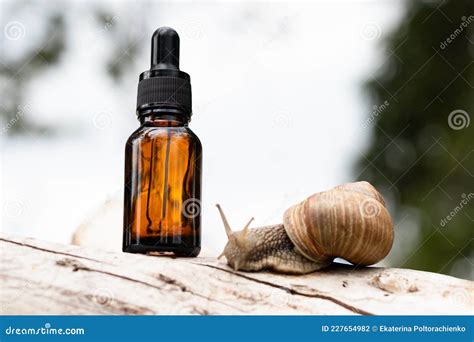 Cosmetics with Snail Mucus, Jar with Ash with Snail, Concept Natural ...