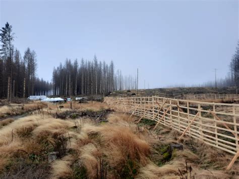 Erfolgreiches Klimaschutzprojekt Apothekenwald Wird Um Hektar