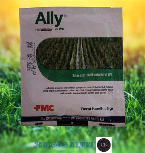 Herbisida Ally 20 WG Metil Metsulfuron 20 5 Gr Lazada Indonesia