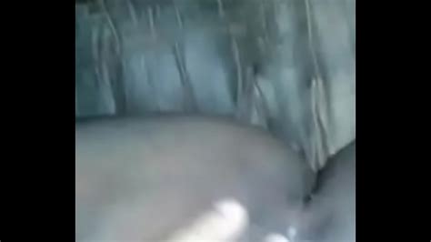 Twitter Badselfiegirls XVIDEOS