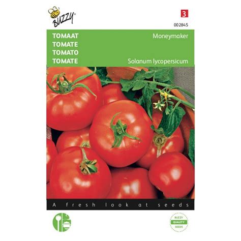 Moneymaker Tomato Vegetable Seeds • Tuinzadeneu