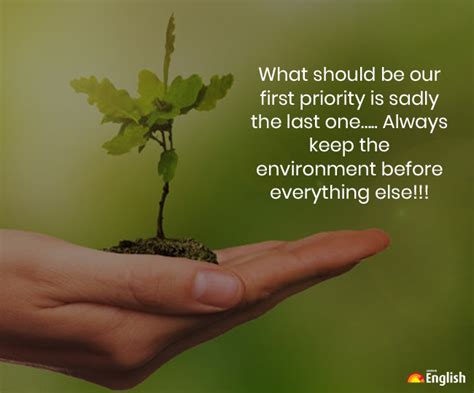 Happy World Environment Day 2022 Wishes Quotes WhatsApp And Facebook