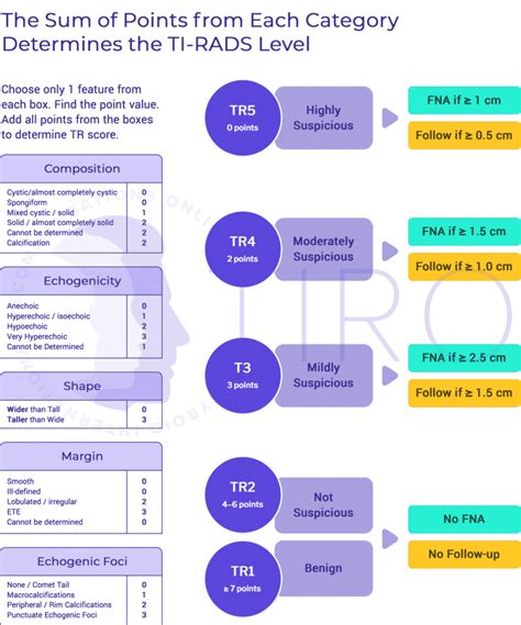 Tiro Figure Acr Ti Rads Classification Of Thyroid Nodules Marked Tiro