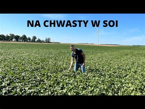 Na Chwasty W Soi YT 2 HD 720p YouTube